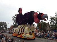 Gieren