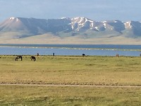 IMG_0001