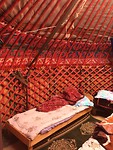 IMG_0731