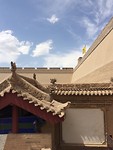 IMG_0806