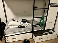 IMG_0529