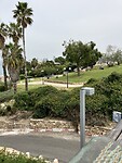 IMG_0541