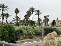 IMG_0542
