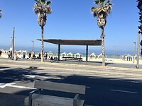 IMG_0697