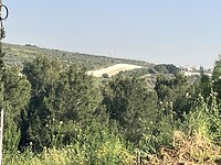IMG_0716