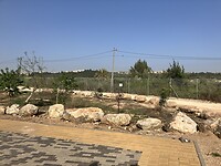 IMG_0715