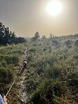 IMG_0724