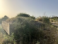 IMG_0725