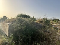 IMG_0726