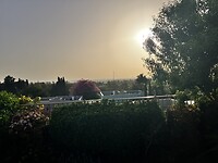 IMG_0729