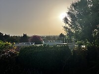 IMG_0730