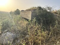 IMG_0727