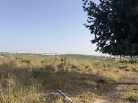 IMG_0720