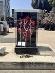 IMG_0775