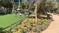 IMG_0795