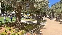IMG_0796