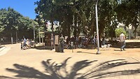 IMG_0797