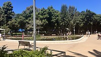 IMG_0798