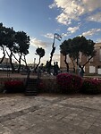 IMG_0920