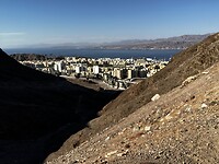 IMG_0937