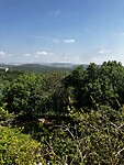 IMG_1021
