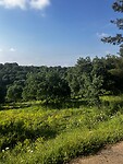 IMG_1043