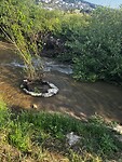 IMG_1048