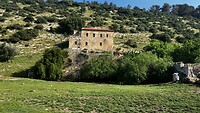 IMG_1062
