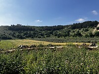 IMG_1080