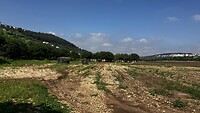 IMG_1087