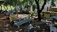 IMG_1098