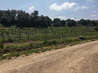 IMG_1108