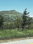 IMG_1120