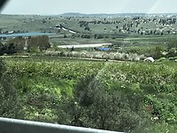 IMG_1130