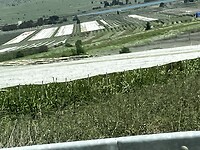 IMG_1132