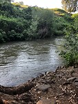 IMG_1154