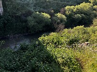 IMG_1156
