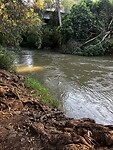 IMG_1153