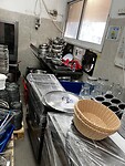 IMG_1236