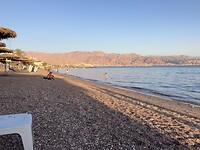 IMG_1278