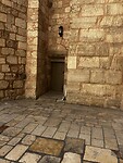IMG_1296