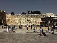 IMG_1353