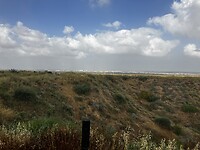 IMG_1411