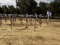IMG_1442