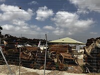 IMG_1467