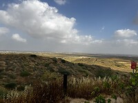 IMG_1408
