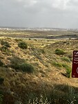 IMG_1412