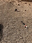IMG_2476