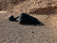 IMG_2479