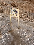 IMG_2510